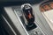 2022 Cadillac Escalade 4WD Luxury
